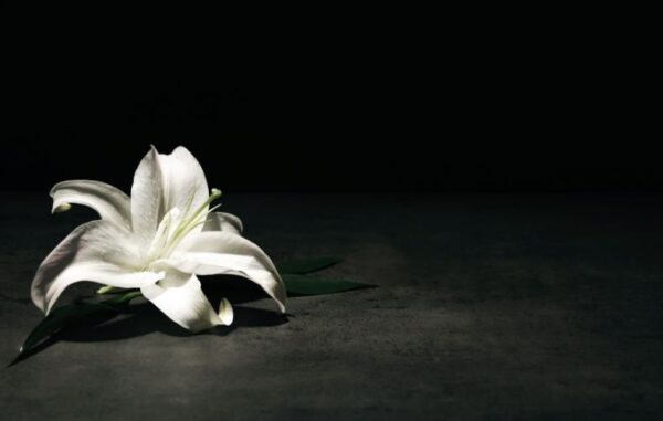 Kondolencje dla Rodziny Ś.P. Dariusza Michniewskiego