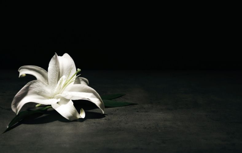 Kondolencje dla Rodziny Ś.P. Dariusza Michniewskiego